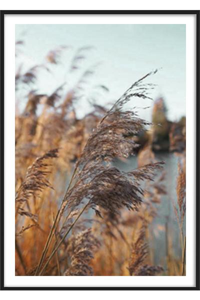 Постер ТРАВИНКИ У ОЗЕРА