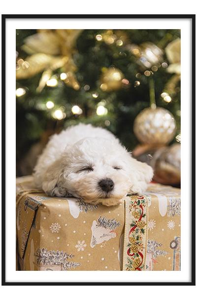 Постер ЩЕНОК ПОД ЁЛКОЙ