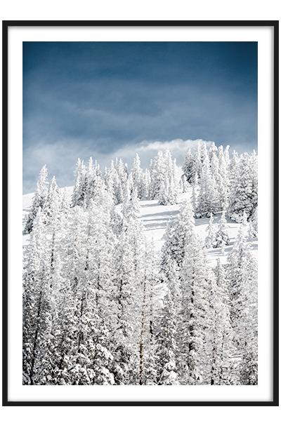 Постер СНЕЖНЫЙ ЛЕСНОЙ СКЛОН