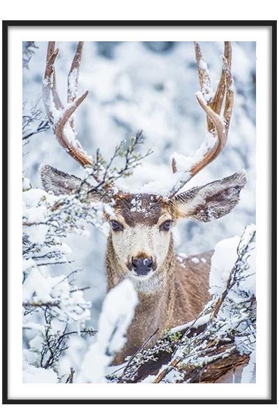 Постер ОЛЕНЬ В СНЕЖНОМ ЛЕСУ