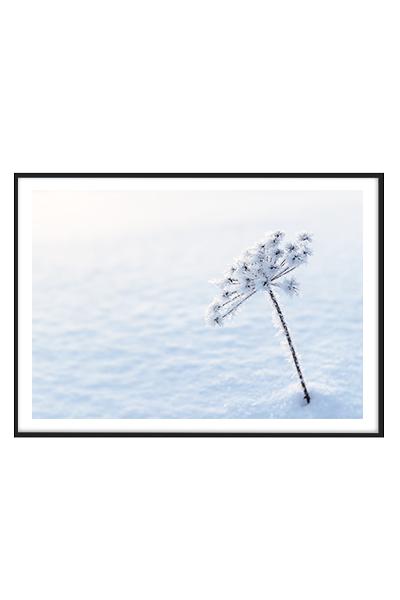 Постер ЗОНТИК В СНЕЖНОМ ПОЛЕ