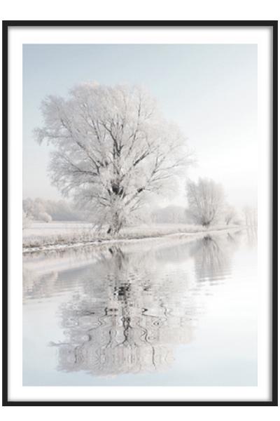 Постер СНЕЖНОЕ ДЕРЕВО НА БЕРЕГУ ОЗЕРА