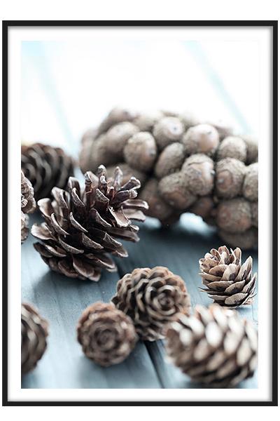 Постер ШИШКИ