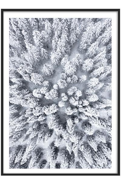 Постер СНЕЖНЫЙ ЛЕС СВЕРХУ