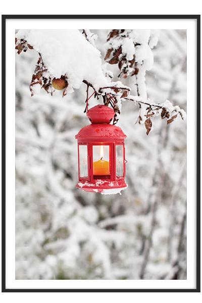 Постер ФОНАРИК НА ВЕТКЕ