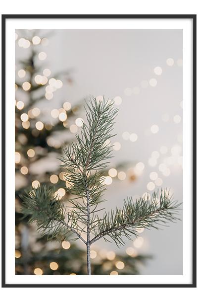 Постер В ОГОНЬКАХ