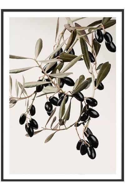 Постер  ОЛИВКИ НА ВЕТКЕ