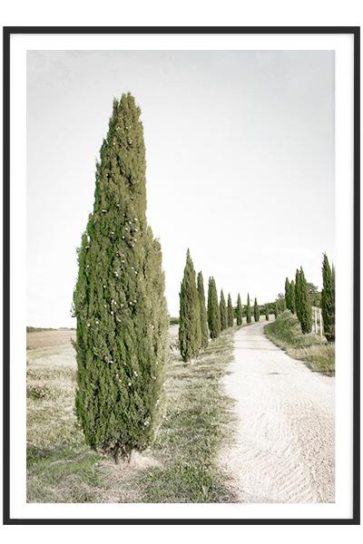 Постер  АЛЛЕЯ