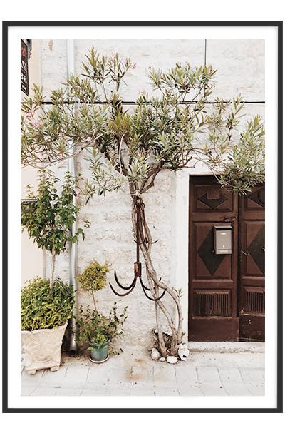 Постер  ДЕРЕВО У ДОМА