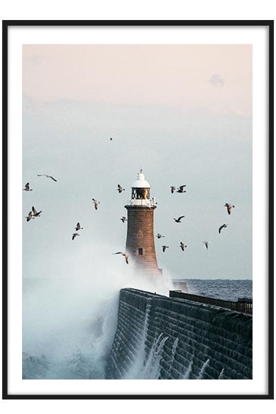 Постер  ПТИЦЫ НА МАЯКЕ