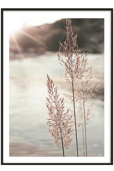 Постер ТРАВИНКИ