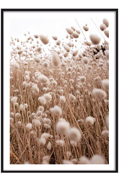 Постер ЗАЙЧЬИ ХВОСТИКИ