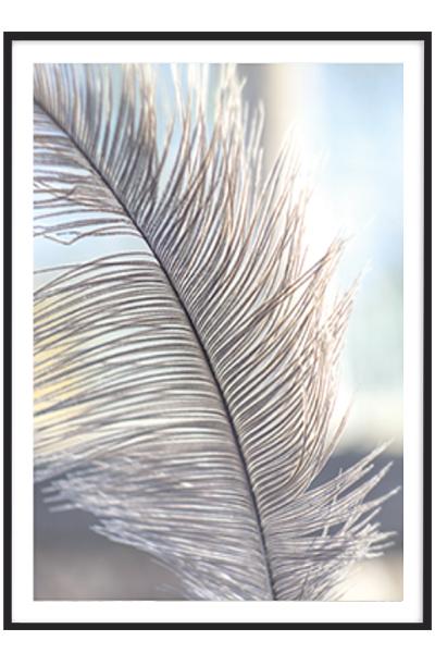 Постер ПЕРЫШКО