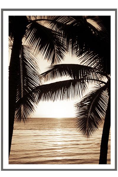 Постер  ПАЛЬМЫ НА ЗАКАТЕ