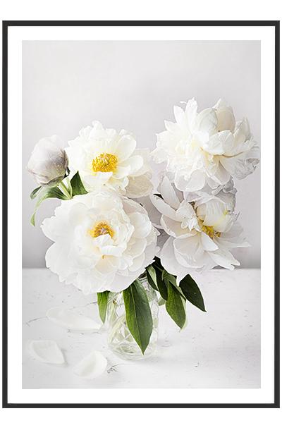 Постер  БЕЛЫЕ ПИОНЫ В ВАЗЕ