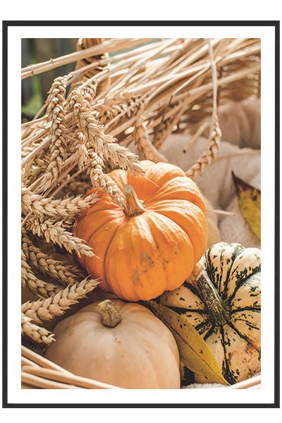 Постер Тыквы