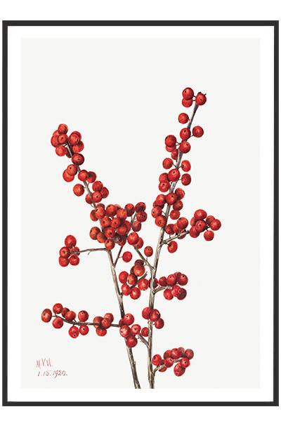 Постер Ветка рябины №2