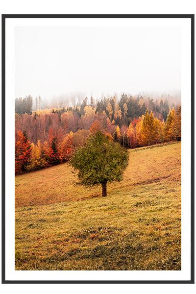 Постер Дерево у осеннего леса