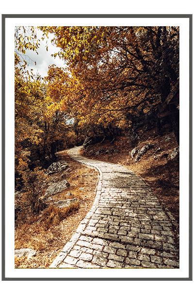 Постер Тропинка через осенний лес