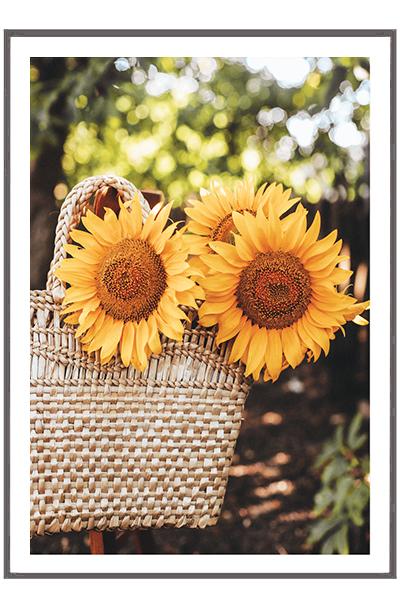 Постер   ПОДСОЛНУХИ