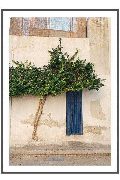 Постер  ДЕРЕВО