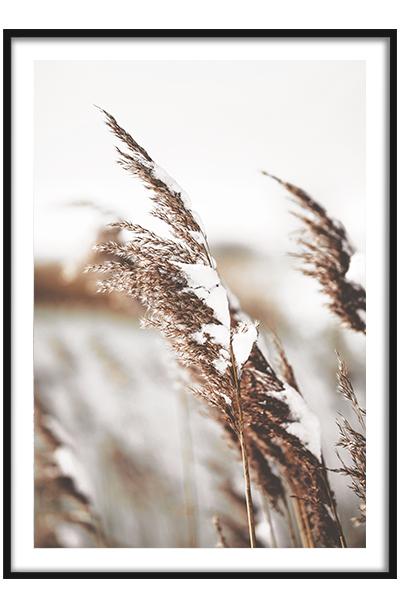 Постер  СНЕГ НА ТРАВИНКАХ