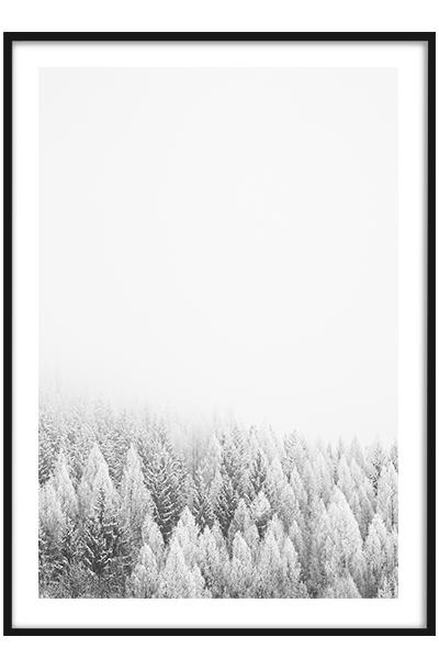 Постер  СНЕЖНЫЙ ЛЕС