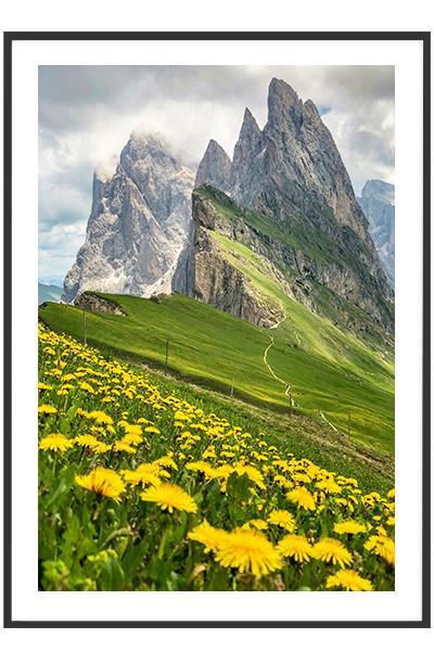 Постер Одуванчики в горах