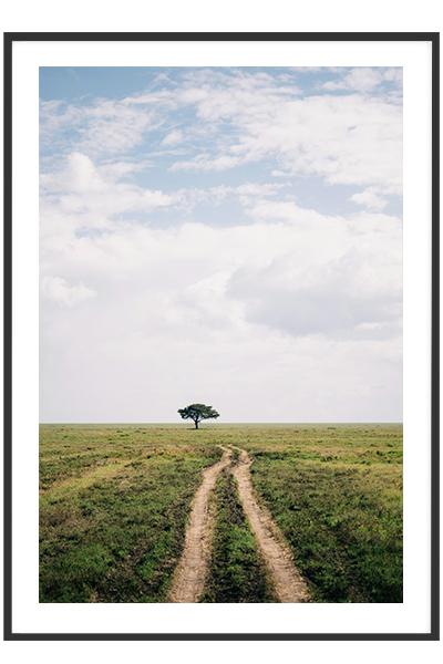 Постер Дерево в поле