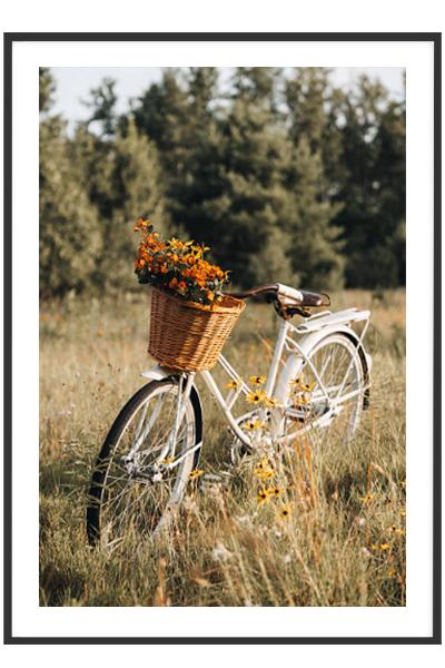 Постер ВЕЛОСИПЕД