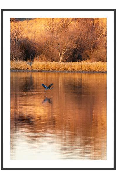 Постер  В ОСЕННЕМ ЛЕСУ НА ОЗЕРЕ