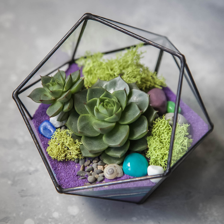 Икосаэдр фиолетовый  S, M, L, XL