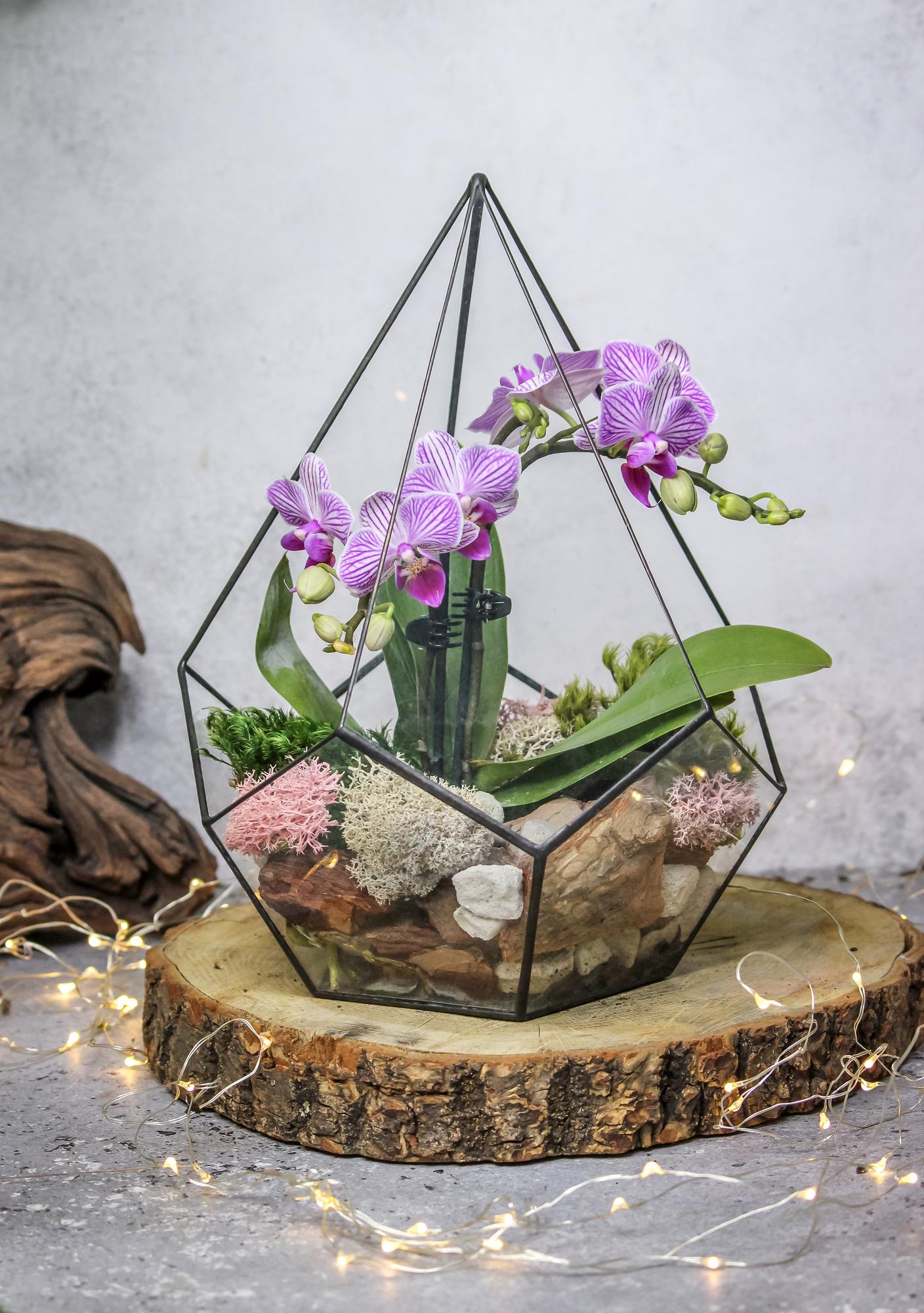 Капля L, XL с орхидеей