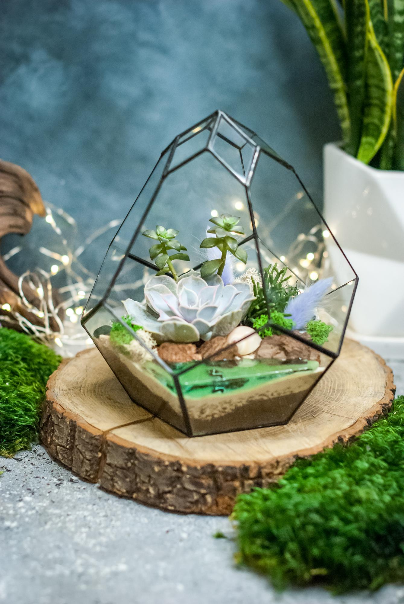 Бутон с суккулентами и озером