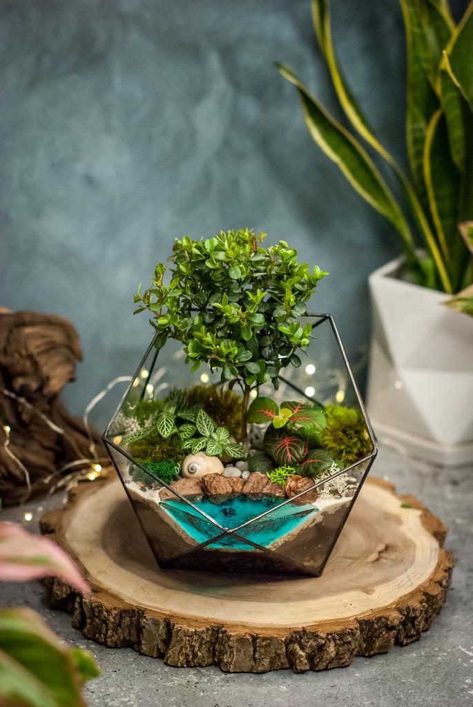 Икосаэдр L c мирсиной, фиттонией и озером