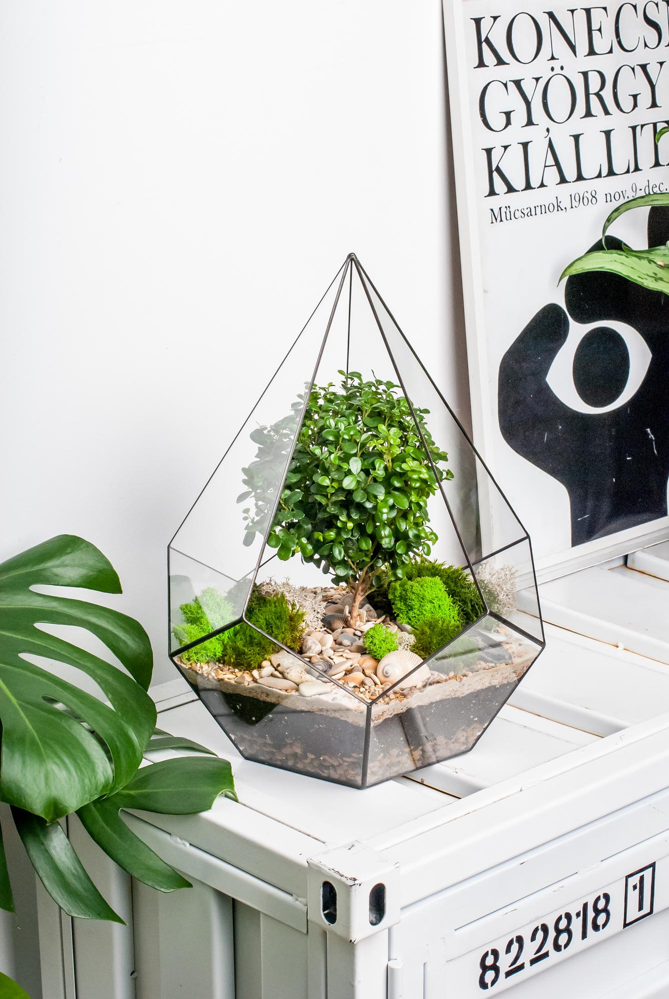 Капля L, XL с мирсиной