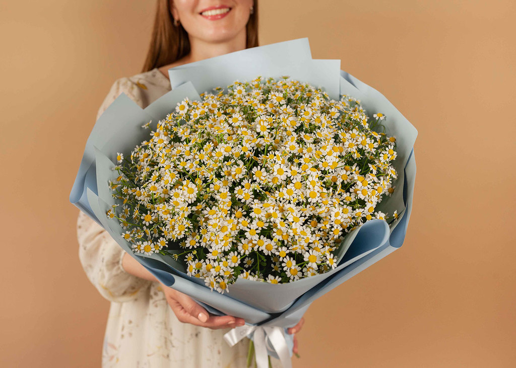 Букет ромашек