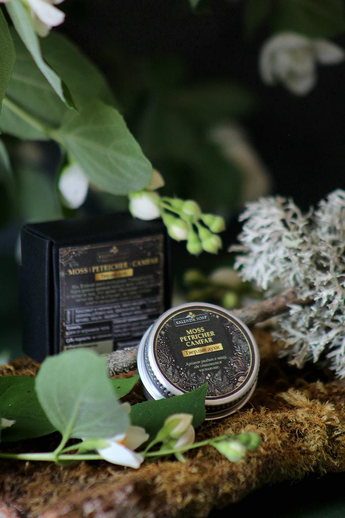 Твердые духи MOSS I PETRICHER I CAMFAR