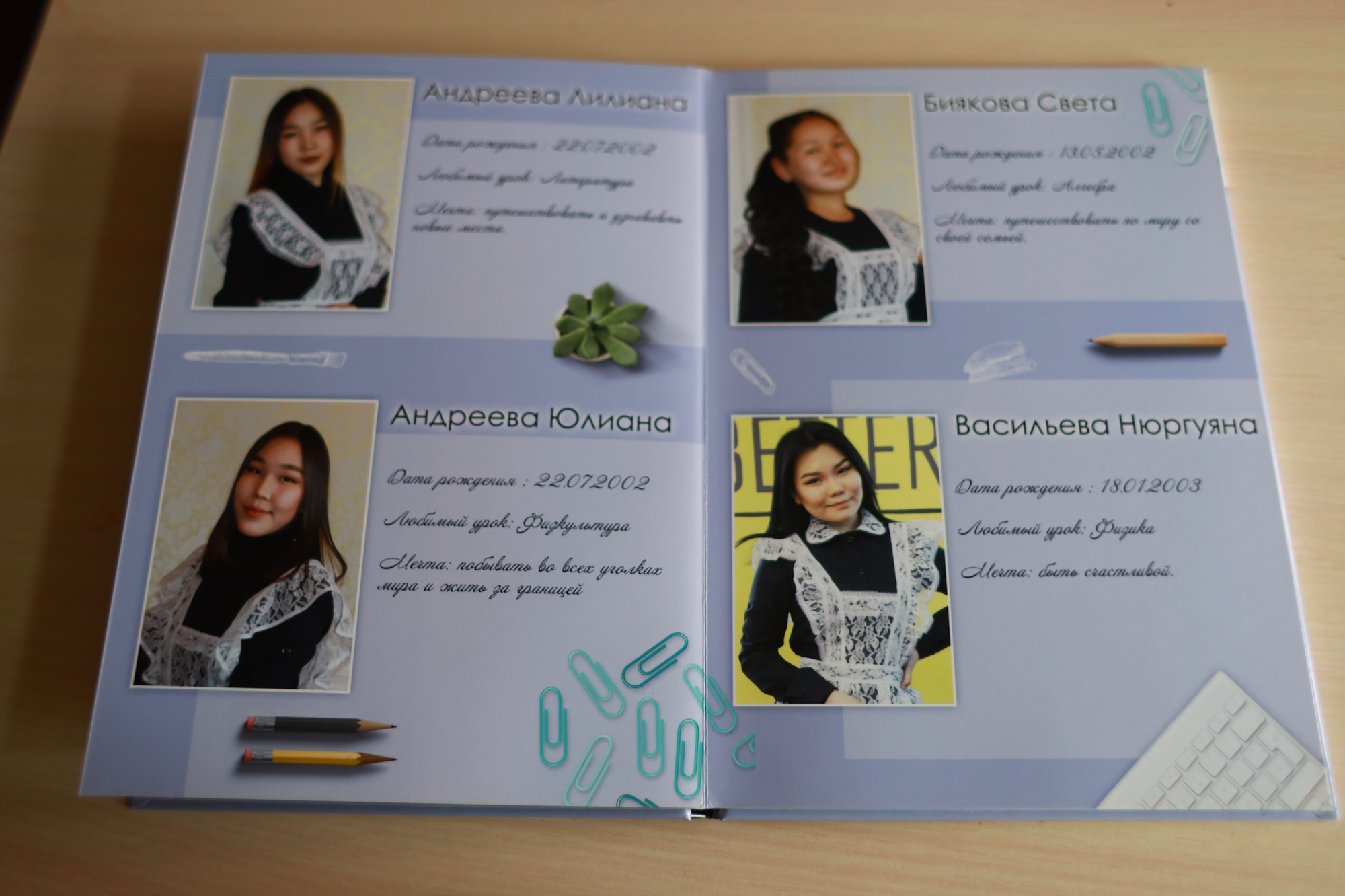 Эконом с видео альбом для 11 класса