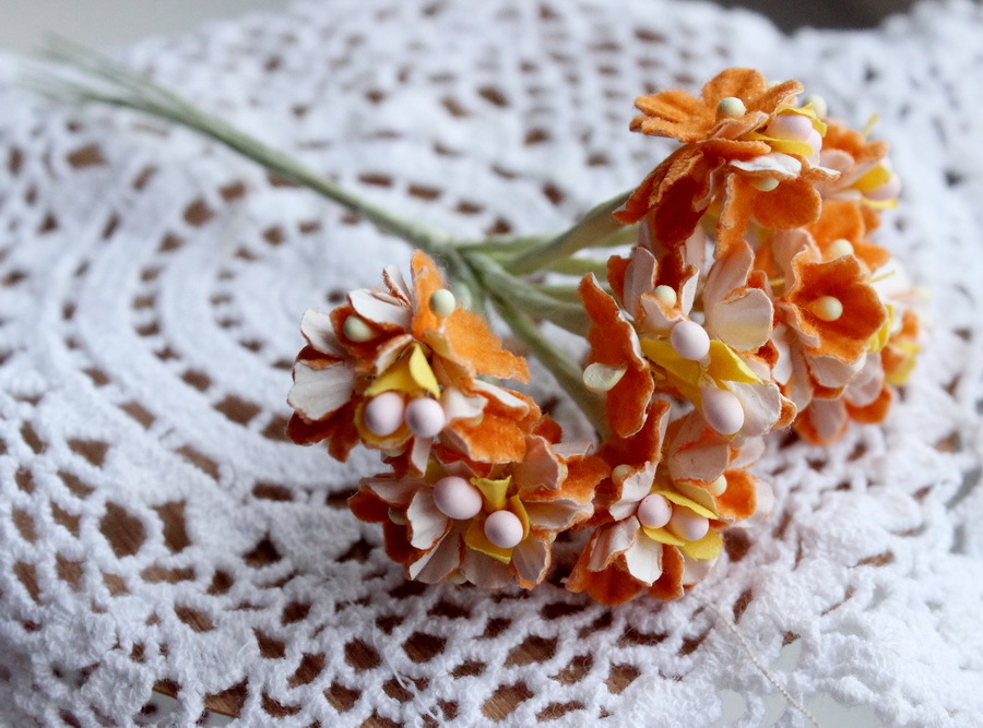 -Незабудки оранжевые