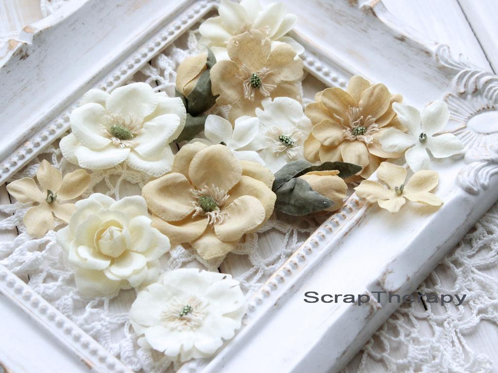 *The TEA Garden/Шиповник/персиковый