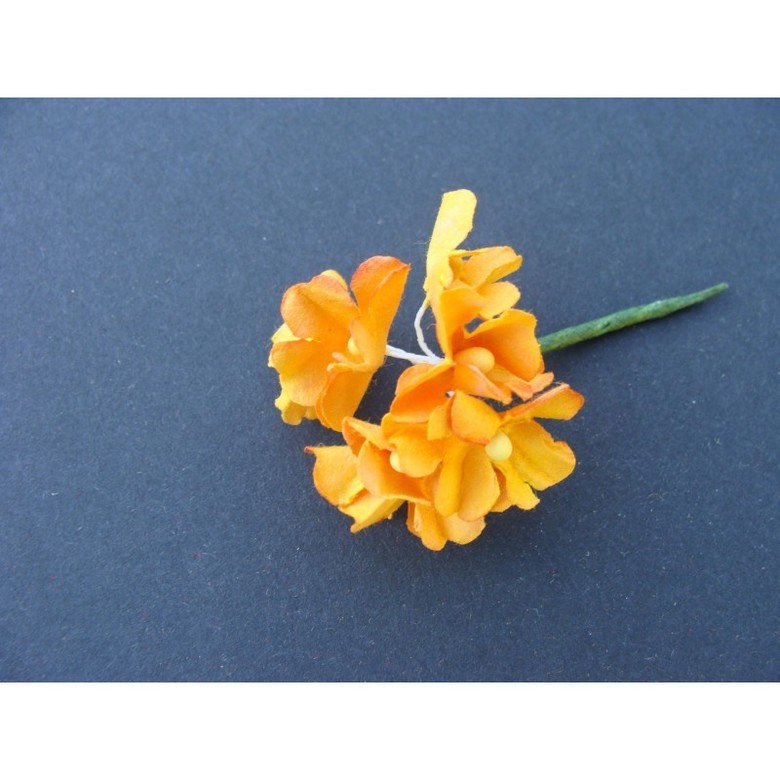 анютины глазки:оранжевые