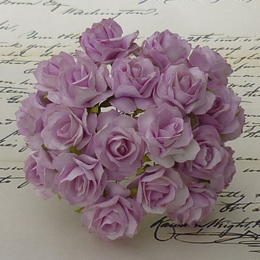 Wild Orchid,розы,MKX-025