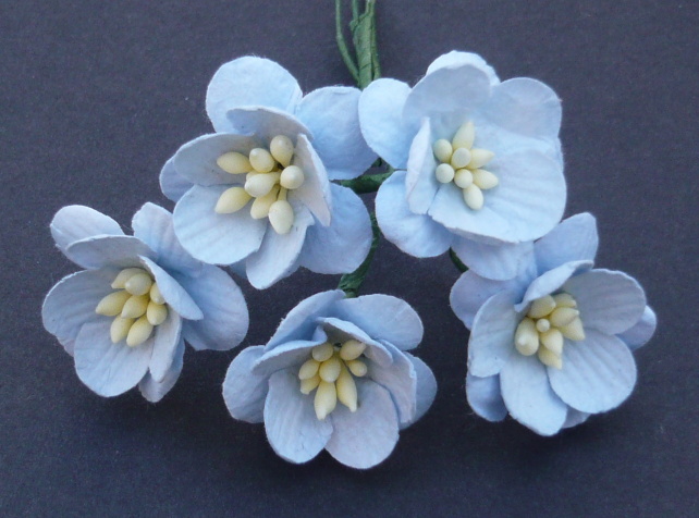 Wild Orchid,вишня,MKX-059