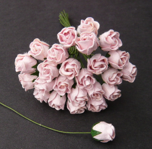 Wild Orchid,розы,GST-060