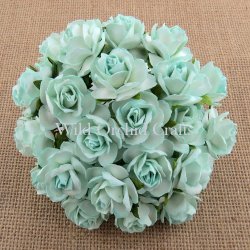 Wild Orchid,розы,QVR-033