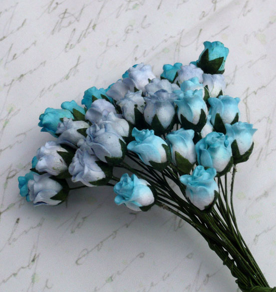 Wild Orchid,розы,GST-017