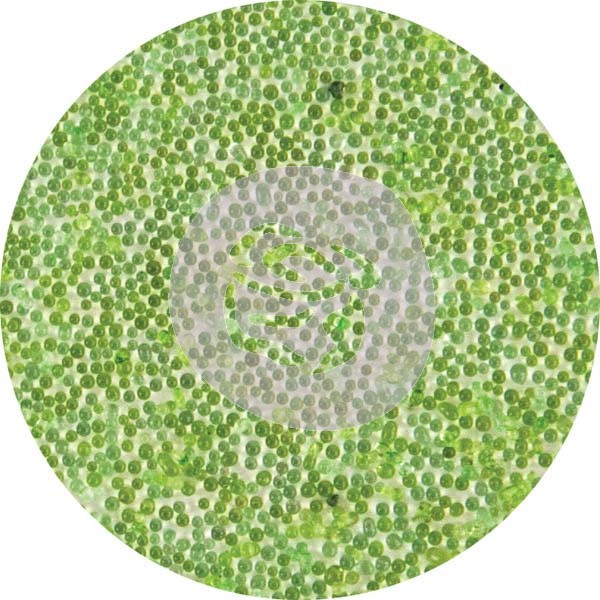 PM,бисер,962623