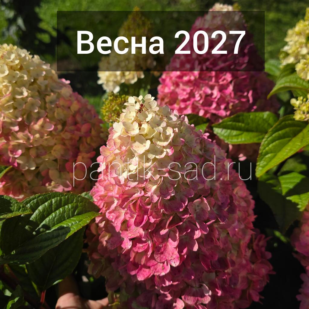 Весна 2027