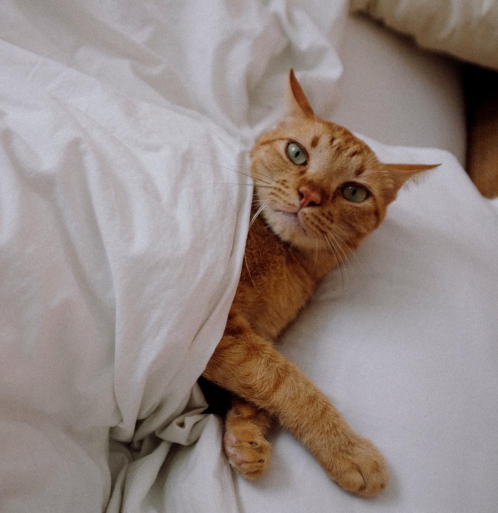 Практикум для уставших и выгоревших авторов "Моя жизнь идет сейчас"